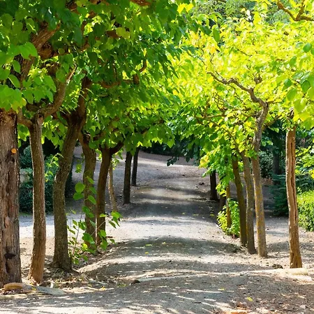 Rural Y Engracia Espluga de Francolí
