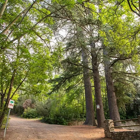 Appartement Rural Y Engracia Espluga de Francolí